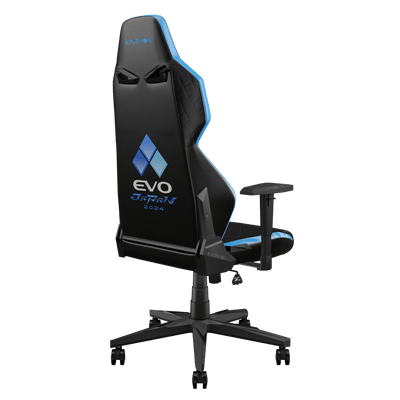 Karnox x Evo - hover